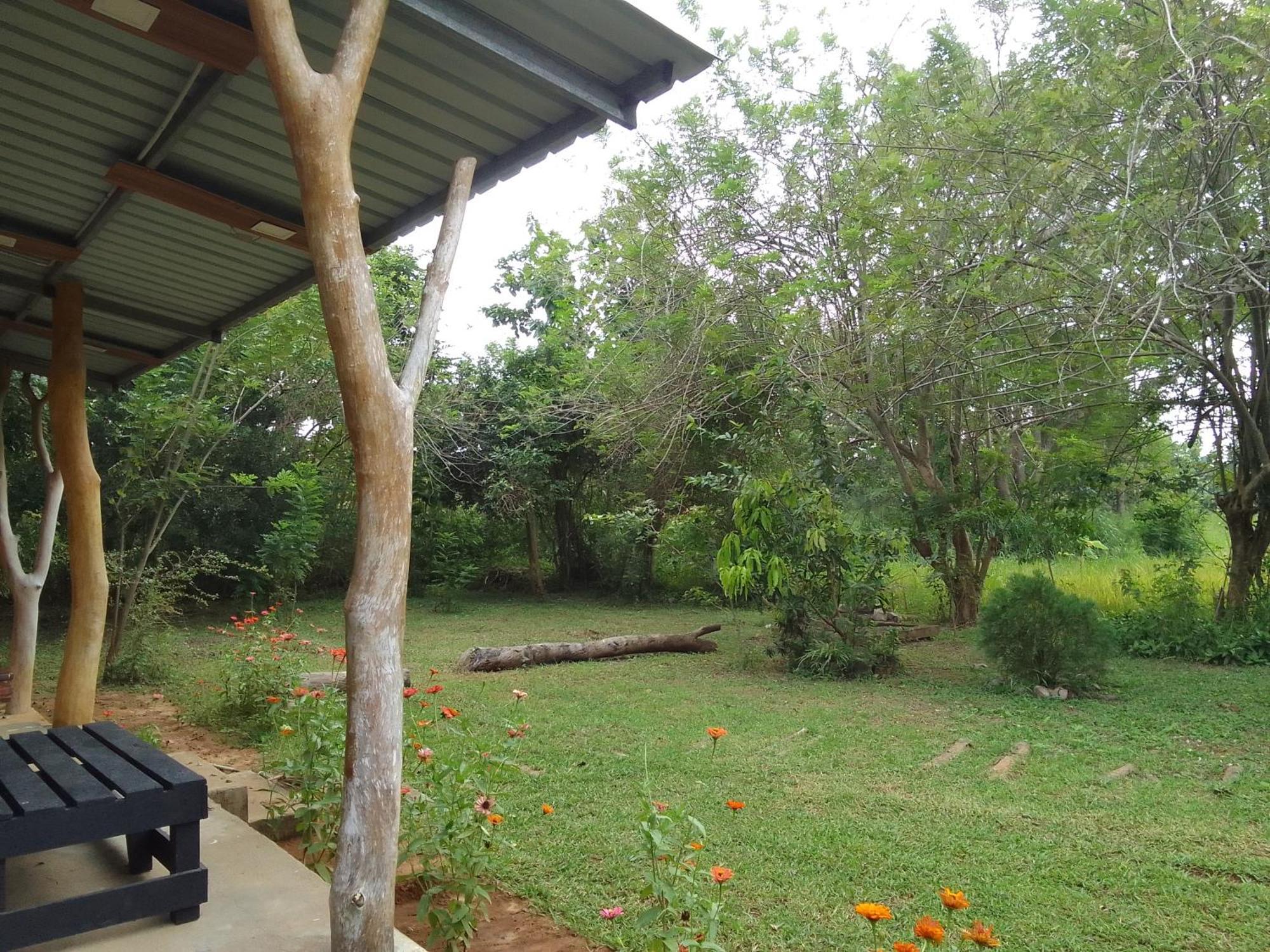 Wilpattu Buma Homestay Pahala Maragahawewa Экстерьер фото